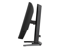IIYAMA G-Master GB2471HS-B1 Red Eagle - 1370359 - zdjęcie 4
